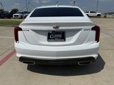 Used 2021 Cadillac CT5 Luxury w/ Sun And Sound Package image 4