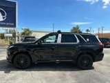 New 2025 Hyundai Palisade Calligraphy image 6