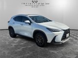 Used 2024 Lexus NX 250 FWD w/ Premium Package image 3