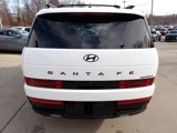 New 2025 Hyundai Santa Fe Calligraphy image 3