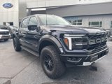 New 2025 Ford F150 Raptor image 6