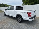Used 2019 Ford F150 XLT w/ Equipment Group 302A Luxury image 3
