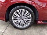 New 2025 INFINITI QX80 Sensory w/ Premium Cargo Package image 5