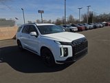 New 2025 Hyundai Palisade Calligraphy image 4