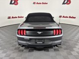 Used 2022 Ford Mustang Premium w/ Equipment Group 201A image 5