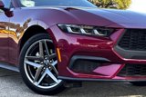 New 2025 Ford Mustang Coupe image 4
