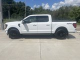 New 2025 Ford F150 XLT w/ Equipment Group 302A MID image 3