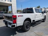 New 2025 Ford F250 Platinum image 4