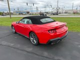New 2025 Ford Mustang GT Premium image 4