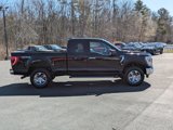 Certified 2023 Ford F150 XLT w/ Equipment Group 302A High image 2
