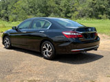 Used 2016 Honda Accord LX image 3