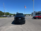 New 2025 Ford F250 Platinum image 2