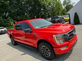 Used 2021 Ford F150 XLT w/ Equipment Group 302A High image 6