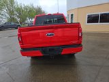 Certified 2023 Ford F150 XLT w/ Equipment Group 302A High image 4