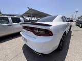 Used 2022 Dodge Charger SXT w/ Blacktop Package image 5