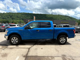 Used 2019 Ford F150 XLT image 5