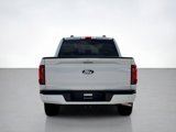 New 2025 Ford F150 XLT w/ Equipment Group 302A MID image 4