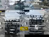 New 2025 Hyundai Palisade Calligraphy image 2