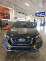 New 2025 Subaru Outback Wilderness image 3