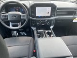 New 2025 Ford F150 XLT image 3