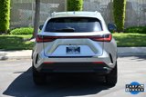 Used 2025 Lexus NX 350h AWD w/ Premium Package image 4