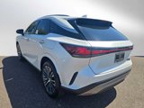 New 2025 Lexus RX 350 Premium Plus image 5