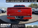 Certified 2023 Ford F150 XLT w/ Equipment Group 302A High image 5