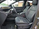 New 2025 Hyundai Santa Cruz Limited image 6