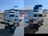 New 2025 Ford F150 XLT w/ Equipment Group 302A MID image 4
