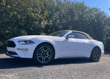 Used 2021 Ford Mustang Premium image 3