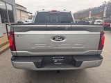 New 2024 Ford F150 XLT w/ Equipment Group 302A MID image 4