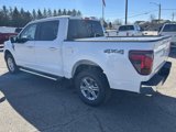 New 2025 Ford F150 XLT image 3