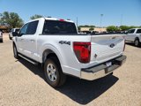 New 2024 Ford F150 XLT w/ Equipment Group 302A MID image 2