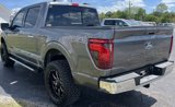 New 2025 Ford F150 XLT w/ Equipment Group 303A High image 6