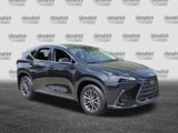 Certified 2025 Lexus NX 350 AWD w/ Premium Package image 2