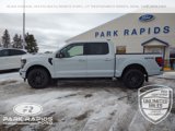 New 2025 Ford F150 XLT w/ Equipment Group 302A MID image 2