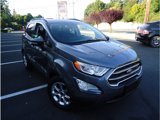 Used 2019 Ford EcoSport SE image 4
