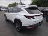 Used 2023 Hyundai Tucson Blue image 5
