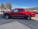 New 2025 Ford F150 XLT w/ Equipment Group 302A MID image 5