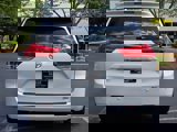 Used 2011 Toyota Sienna XLE w/ Premium Pkg image 6