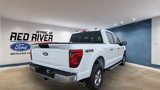 New 2025 Ford F150 XLT image 5