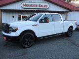 Used 2014 Ford F150 FX4 image 3