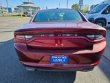 Used 2021 Dodge Charger SXT w/ Leather Interior Group image 4