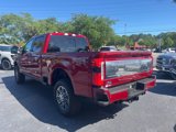 New 2025 Ford F250 Platinum image 5
