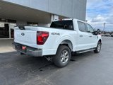 New 2024 Ford F150 XLT w/ Tow/Haul Package image 3
