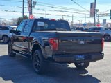 Certified 2024 Ford F150 STX w/ STX Black Appearance Package image 4