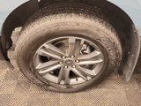 Used 2023 Ford F150 XLT image 6