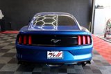 Used 2017 Ford Mustang Premium w/ Equipment Group 201A image 6