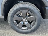 New 2026 Honda Passport RTL image 5