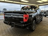 Certified 2023 Ford F150 XLT w/ Equipment Group 302A High image 5